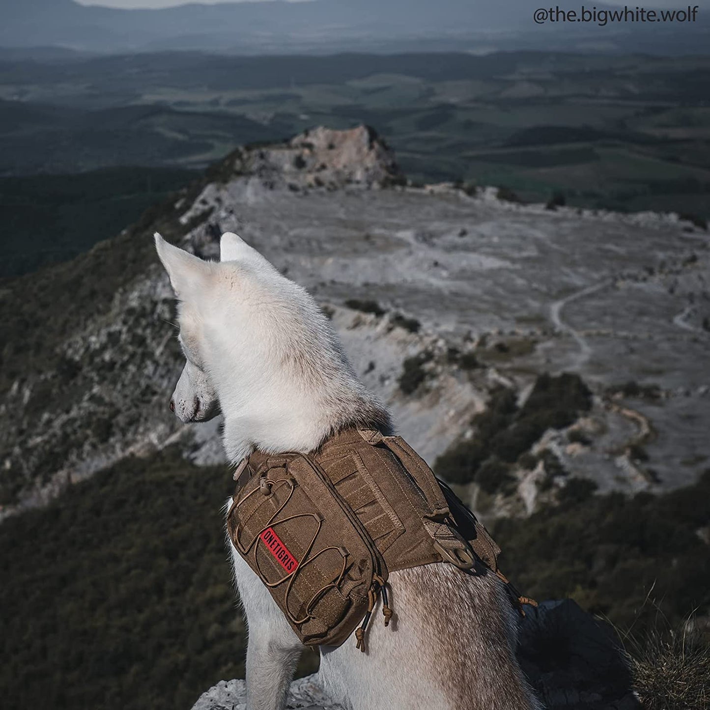 Dog Backpack for Medium & Large Dogs, Nylon Backpack for Dogs Tactical Pet Backpack with Side Pockets for Hiking Walking Training Running 